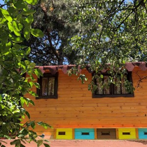 Become part of the hive with "Bee Room" Become part of the hive with "Bee Room"
