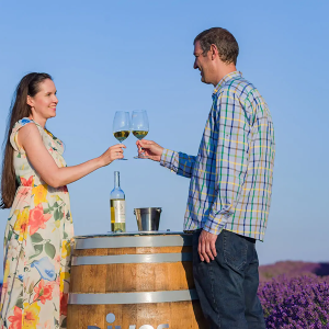 Специален винен и исторически тур за двама в ДиВес Естейт, Поморие