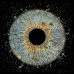 Превърнете вашите очи в уникална картина с ирисова фотография в Пловдив - един ирис в рамка