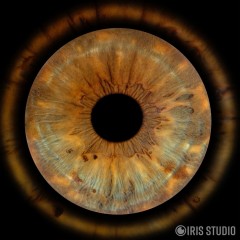 Превърнете вашите очи в уникална картина с ирисова фотография в София - един ирис в рамка