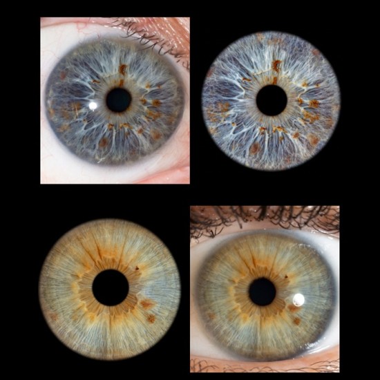 Превърнете вашите очи в уникална картина с ирисова фотография в Пловдив от Макароон