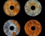 Превърнете вашите очи в уникална картина с ирисова фотография в София от Makaroon Превърнете вашите очи в уникална картина с ирисова фотография в София от Makaroon