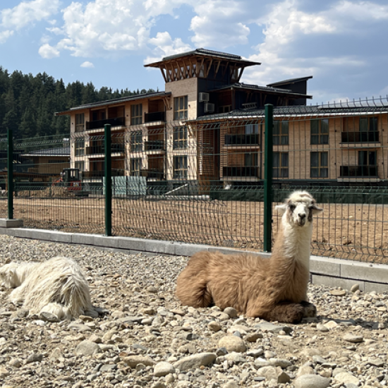 Забавлението е гарантирано с Конна езда, разходка с АТВ и въжен парк в Therme Fun and Sport Park, с. Баня от Makaroon