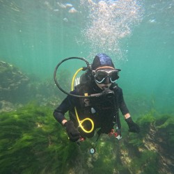 Encountering the underwater world with a diving trip for one person in the Tyulenovo area from Rock Diving