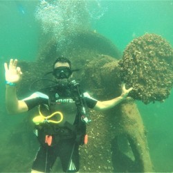Encountering the underwater world with a diving trip for one person in the Tyulenovo area from Rock Diving