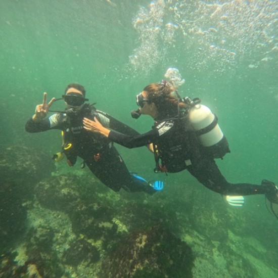 Опознайте красотата на Северното Черноморие с Гмуркане в района на Тюленово от Makaroon