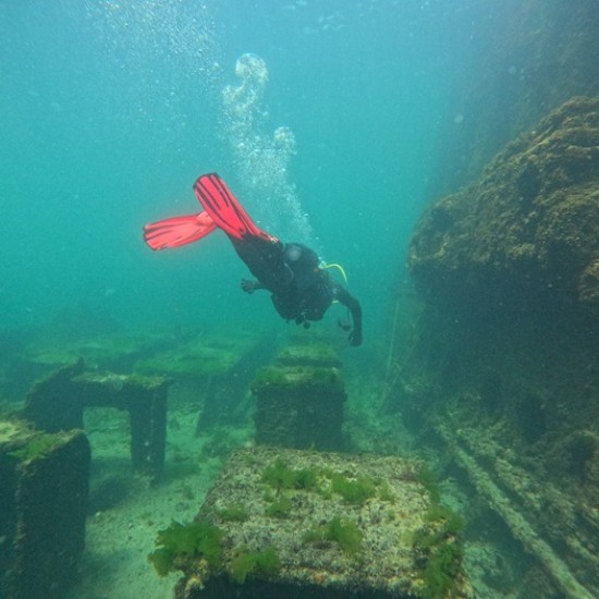 Опознайте красотата на Северното Черноморие с Гмуркане в района на Тюленово от Makaroon