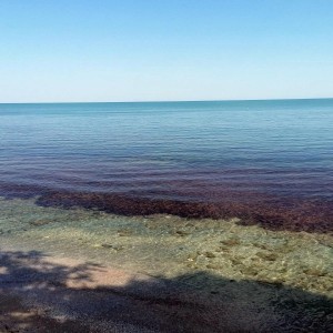 Гмуркане за начинаещи в археологически резерват в Несебър Гмуркане за начинаещи в археологически резерват в Несебър