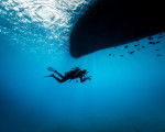 Водолазен курс за начинаещи на Халкидики: Open Water Diving Course | Makaroon.bg