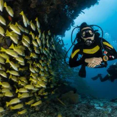 Гмуркане на Халкидики за начинаещи: Discover Scuba Diving