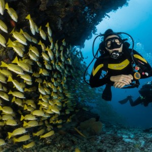 Гмуркане на Халкидики за начинаещи: Discover Scuba Diving Гмуркане на Халкидики за начинаещи: Discover Scuba Diving