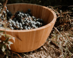 Гроздобер през септември в Шато Копса – празненство на виното от Макароон