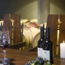 Насладете се на лимитирани серии вина с ''Луксозна гурме дегустация в Шато Копса за двама''