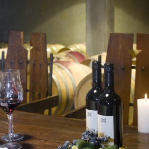 Enjoy limited edition wines with a "Luxury Gourmet Tasting at Chateau Copsa for Two" Enjoy limited edition wines with a "Luxury Gourmet Tasting at Chateau Copsa for Two"