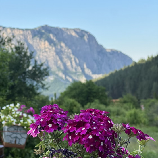 Две нощувки в балон – незабравимо преживяване под небето край Враца от Makaroon Две нощувки в балон – незабравимо преживяване под небето край Враца от Makaroon
