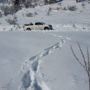 Целодневен тур с джип в Родопите за до 4 човека, край Смолян Целодневен тур с джип в Родопите за до 4 човека, край Смолян