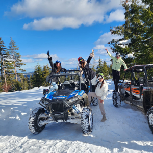 A one-hour winter buggy ride near Pamporovo for two people A one-hour winter buggy ride near Pamporovo for two people