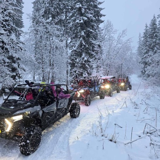 Снежно сафари RZR край Пампорово за двама души от Makaroon