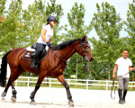 В красивия свят на конете: Две нощувки със закуска, урок по езда и масаж за двама | Makaroon.bg