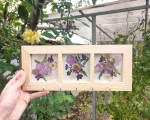 Подарете един ръчно изработен и уникален спомен с „Къщички за ключове с истински хербаризирани цветя“ от Makaroon