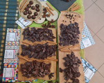 Сладко изкушение - Дегустация на шоколад от Makaroon