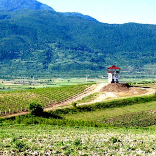 Къща за гости за 6 човека, винено приключение и посещение на лозя и ферма за кози Боер | Makaroon.bg