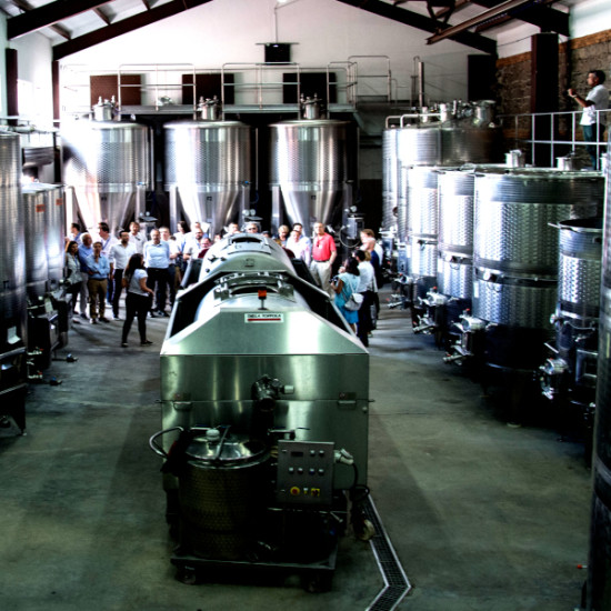 Винено удоволствие: Дегустация на 3 вида вино за двама във вила Юстина | Makaroon.bg