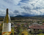 Едно лозаро-винарско приключение сред Дунавската равнина с "Дегустация за двама в с. Селановци" от Makaroon