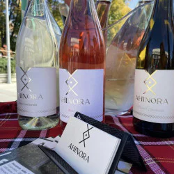 Дегустация за двама във винарска изба Ахинора в с. Селановци Дегустация за двама във винарска изба Ахинора в с. Селановци