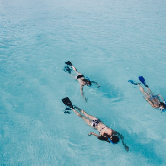 Шнорхелинг на Тайния Риф край Равда | Makaroon.bg