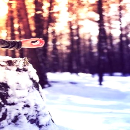 Медитация: танцова или с дихателни упражнения | Makaroon.bg