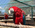 Запознайте се с различни видове екзотични животни отблизо с ''Посещение в Зоокът Дъбница“ от Makaroon