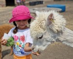 Подарете си едно невероятно преживяване в животинския свят с Посещение за двама в + 1 дете зоопарк Бургас от Makaroon Подарете си едно невероятно преживяване в животинския свят с Посещение за двама + 1 дете в зоопарк Бургас от Makaroon