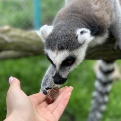 In the animal kingdom: A visit for two to Burgas Zoo In the animal kingdom: A visit for two to Burgas Zoo