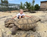 Подарете си едно невероятно преживяване в животинския свят с Посещение за двама в зоопарк Бургас от Makaroon Подарете си едно невероятно преживяване в животинския свят с Посещение за двама в зоопарк Бургас от Makaroon