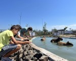 Подарете си едно невероятно преживяване в животинския свят с Посещение за двама в + 1 дете зоопарк Бургас от Makaroon Подарете си едно невероятно преживяване в животинския свят с Посещение за двама + 1 дете в зоопарк Бургас от Makaroon