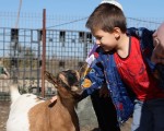 Подарете си едно невероятно преживяване в животинския свят с Посещение за двама в + 1 дете зоопарк Бургас от Makaroon Подарете си едно невероятно преживяване в животинския свят с Посещение за двама + 1 дете в зоопарк Бургас от Makaroon