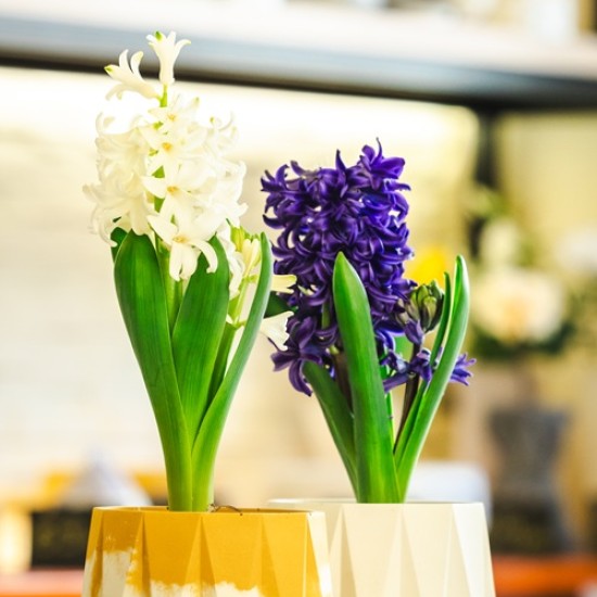 Tворете по разчупенo с Арт работилница за изработка на декорация от бетон от Makaroon