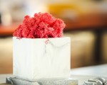 Tворете по разчупенo с Арт работилница за изработка на декорация от бетон от Makaroon