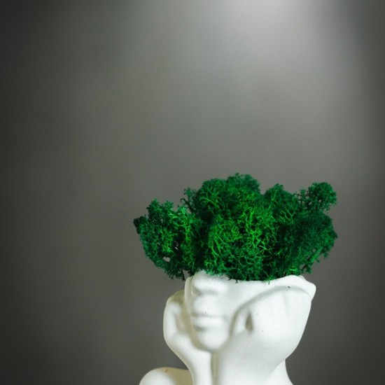 Tворете по разчупенo с Арт работилница за изработка на декорация от бетон от Makaroon