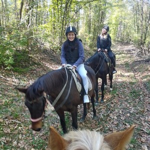 Езда сред природата за начинаещи в с. Батошево Езда сред природата за начинаещи в с. Батошево