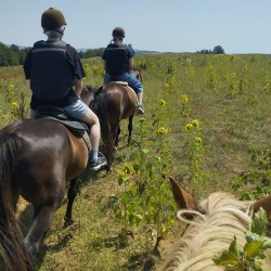 Hike for advanced riders with included picnic in nature for two in the village of Batoshevo Hike for advanced riders with included picnic in nature for two in the village of Batoshevo