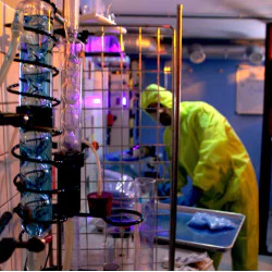 Ескейп стая Breaking Bad за двама Ескейп стая Breaking Bad за двама