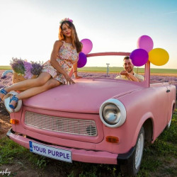 Experience your colorful fairy tale in "Lavender Field Your Purple" Experience your colorful fairy tale in "Lavender Field Your Purple"