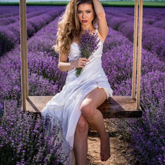 Give the gift of an enchanting idyll with "Lavender field Your Purple" from Makaroon