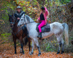 Разходка с кон в полите на Витоша от Макароон