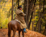 Разходка с кон в полите на Витоша от Макароон