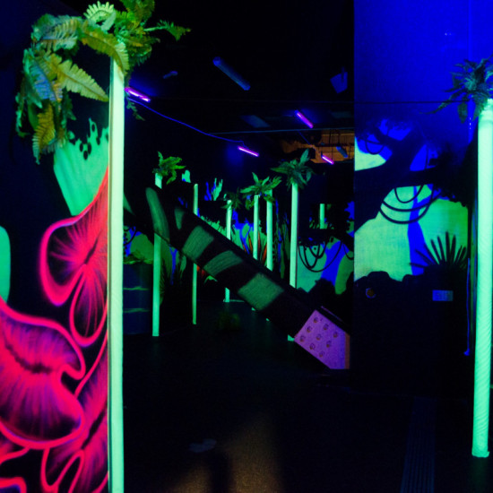 Подарете едно ярко забавление с „Една игра на Лазерна арена за двама“ от Makaroon