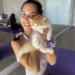 Вълшебно изживяване „Йога с котенца“ Вълшебно изживяване „Йога с котенца“