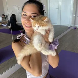 Вълшебно изживяване „Йога с котенца“ Вълшебно изживяване „Йога с котенца“